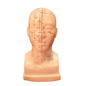 AcuSathi™ Facial Acupuncture Head Model