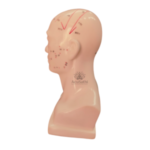 AcuSathi™ Facial Acupuncture Head Model - Image 3