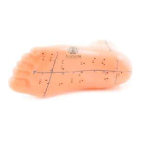 AcuSathi™ Foot Acupuncture Training Model - Image 2
