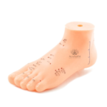 AcuSathi™ Foot Acupuncture Training Model