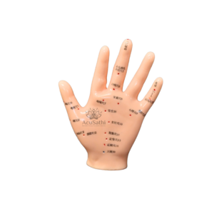 AcuSathi™ Hand Acupuncture Training Model