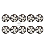 AcuSathi™ Sujok 6-Star Cluster Magnet - 10 PC