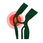 Joint & Knee Pain